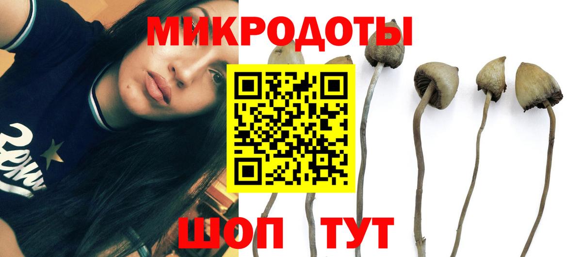 Галлюциногенные грибы Magic Shrooms Ульяновск